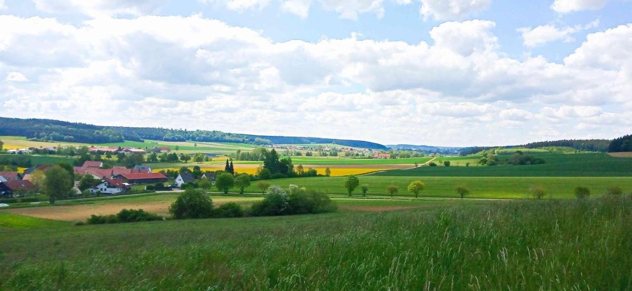 Ferienwohnung Im Barockwinkel Neuburg an der Kammel Exteriör bild